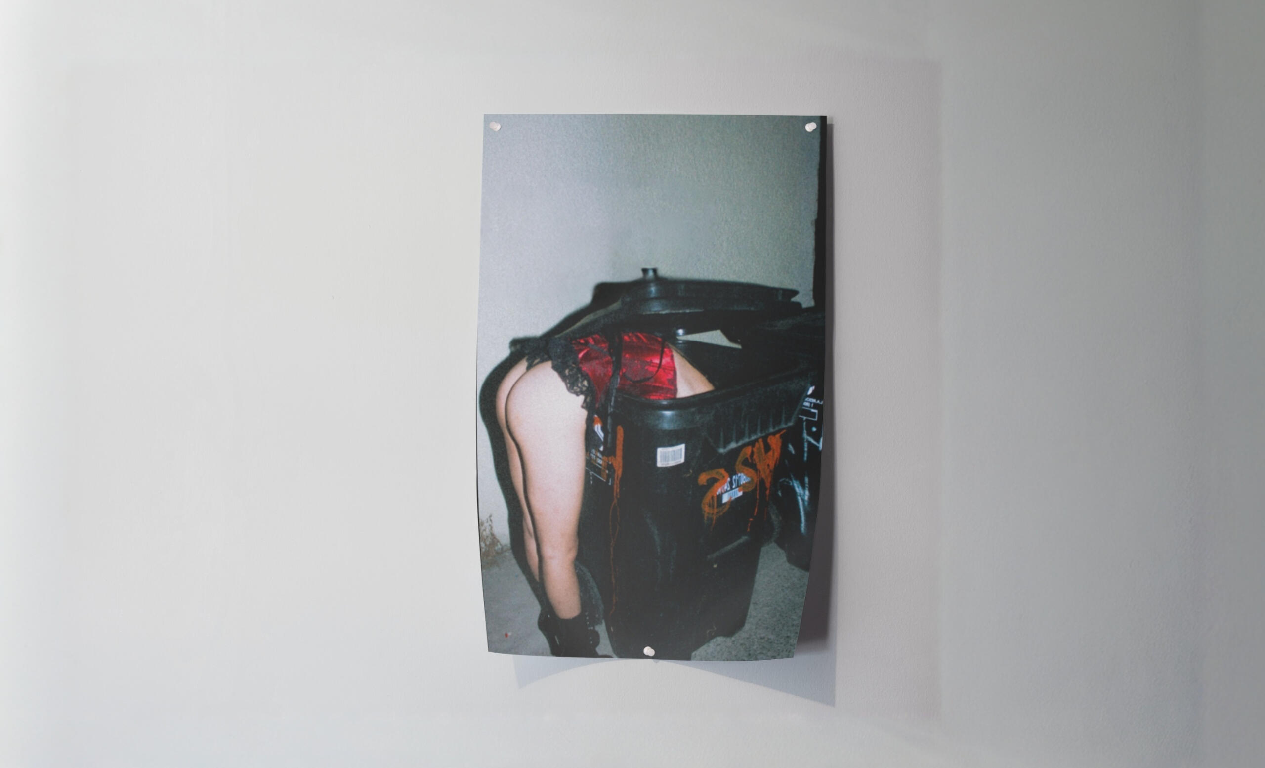 $35 - Trashy By Nature, Dumb By Choice (11x17)