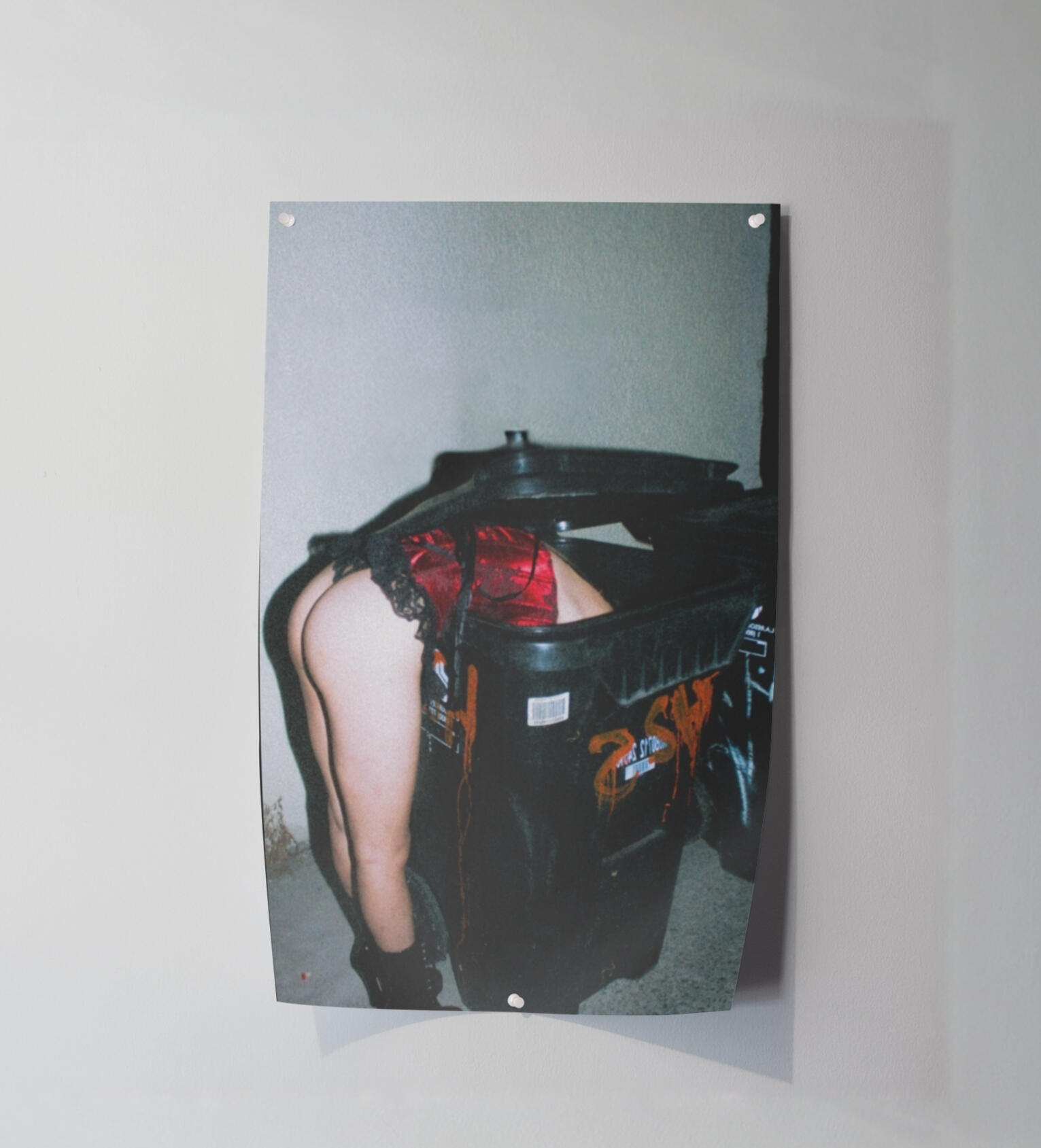 $35 - Trashy By Nature, Dumb By Choice (11x17)