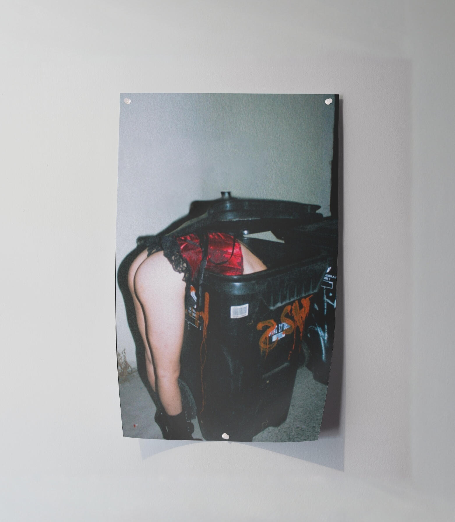 $35 - Trashy By Nature, Dumb By Choice (11x17)